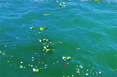 北京至天津海撒专线服务全面升级